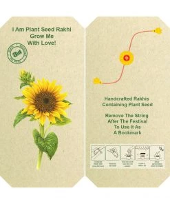 Vastramay Eco-Friendly Cotton Raksha Bandhan Rakhi, Mask And Potli Set
