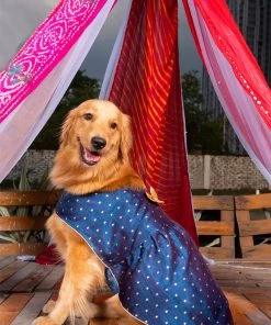 Vastramay Dogs' Blue And Gold Silk Blend Dress Ethnic Wear For Pets