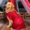 Vastramay Dogs' Maroon And Gold Silk Blend Dress Ethnic Wear For Pets 2 Vastramay Dogs' Maroon And Gold Silk Blend Dress Ethnic Wear For Pets