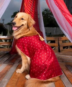 Vastramay Dogs' Maroon And Gold Silk Blend Dress Ethnic Wear For Pets