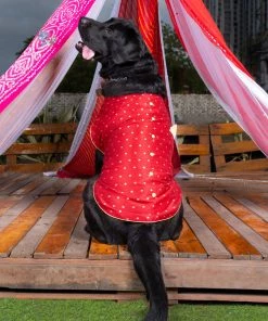 Vastramay Dogs' Maroon And Gold Silk Blend Ethnic Jacket Ethnic Wear For Pets