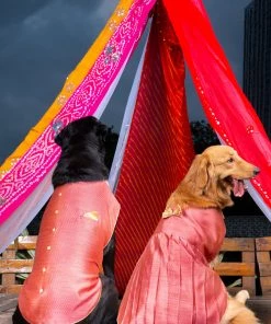 Vastramay Pink Woven Silk Blend Siblings Set For Dogs