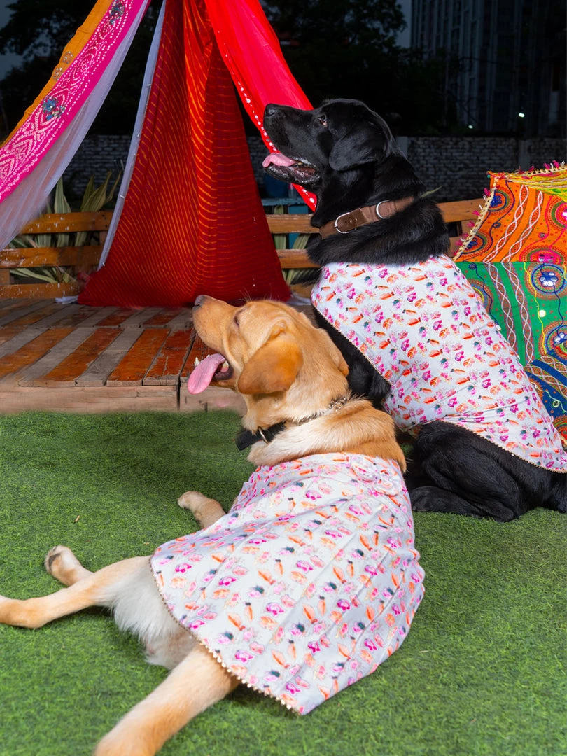 Vastramay White Abstract Printed Cotton Blend Siblings Set For Dogs Rakhi 3 Vastramay White Abstract Printed Cotton Blend Siblings Set For Dogs Rakhi